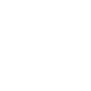 Burst Beans Coffee